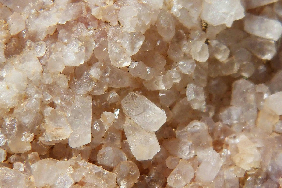 Acqua in bottiglia che può danneggiare i reni: quali scegliere per proteggersi da rischi seri