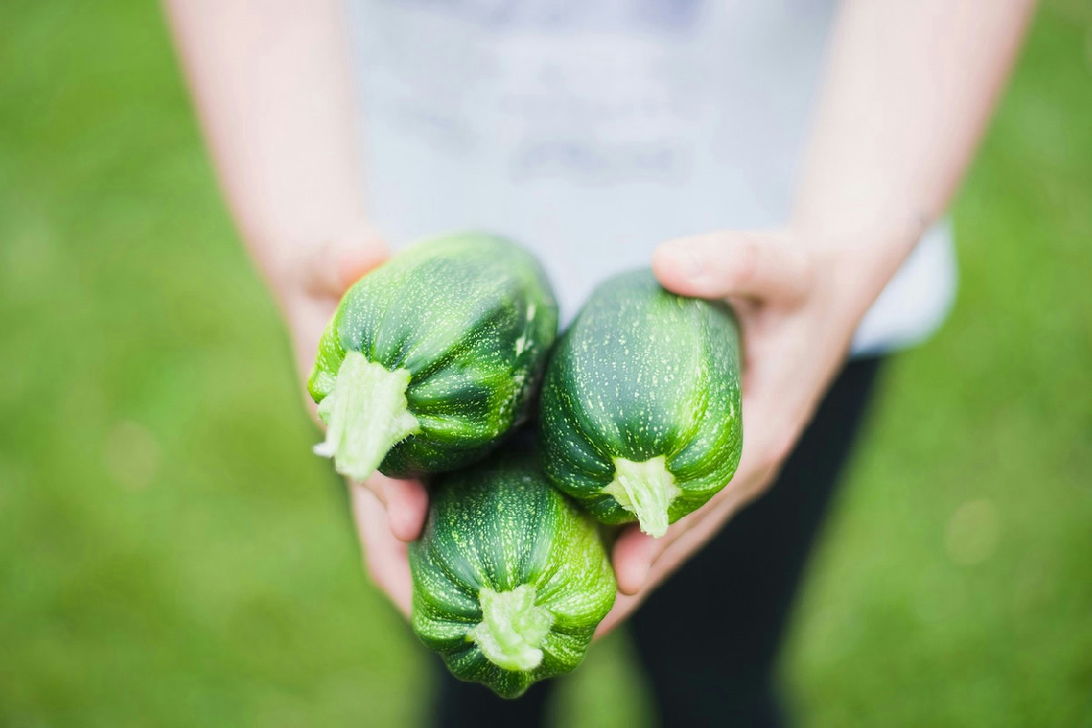 Per avere zucchine croccanti in padella basta un passaggio semplice che spesso si dimentica e cambia tutto