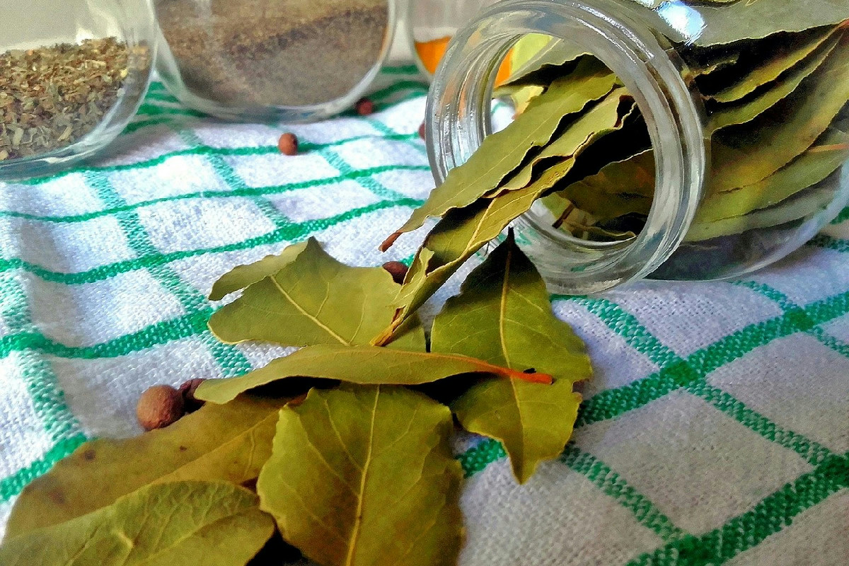 Barbabietole al forno: come esaltare un contorno genuino e raffinato con pochi aromi scelti