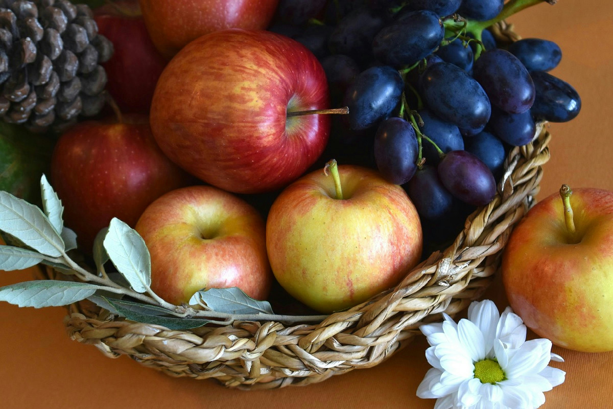 Cestino della frutta senza moscerini: soluzione efficace e veloce per eliminarli definitivamente