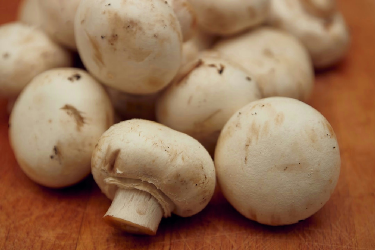 Coltivare funghi champignon in casa: 5 consigli garantiti per ottenere risultati da veri esperti