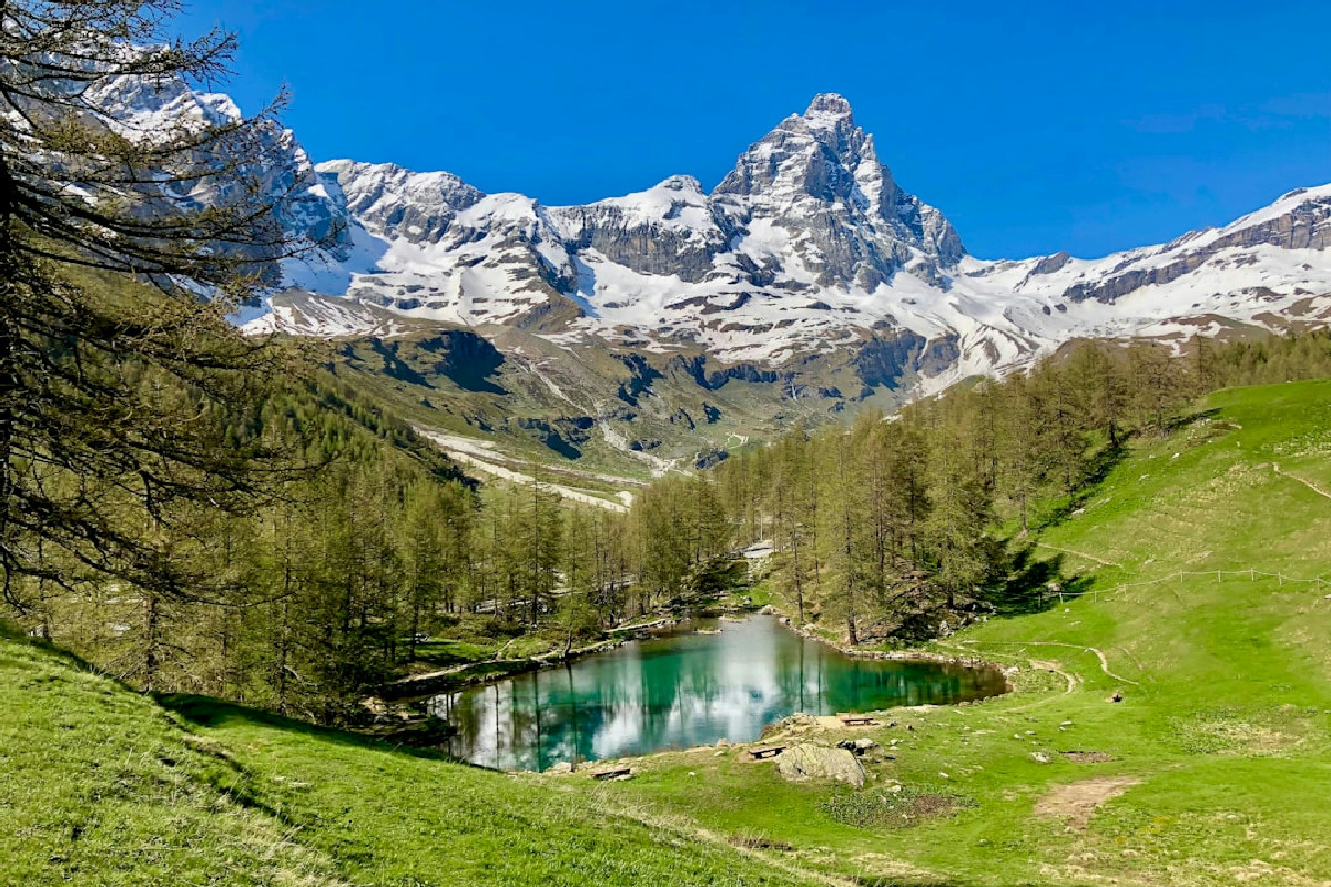 La micóoula valdostana: pane fragrante e ricco di storia da gustare durante le feste invernali