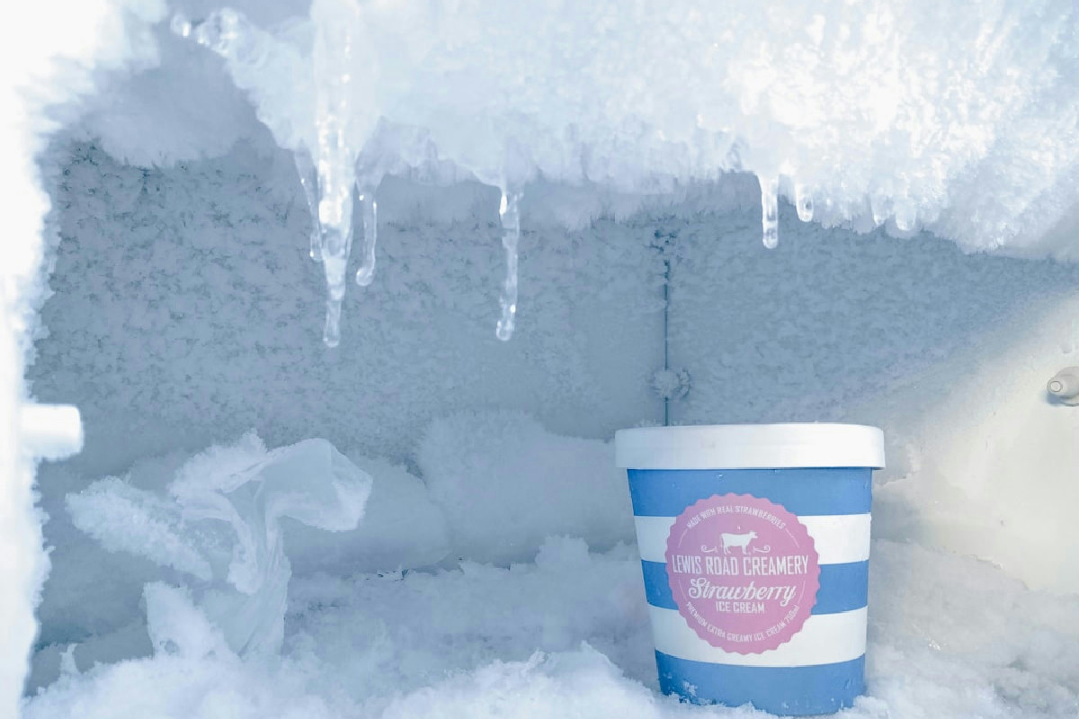 Il panettone avanzato si conserva in freezer: consigli utili per mantenerne il gusto e la fragranza