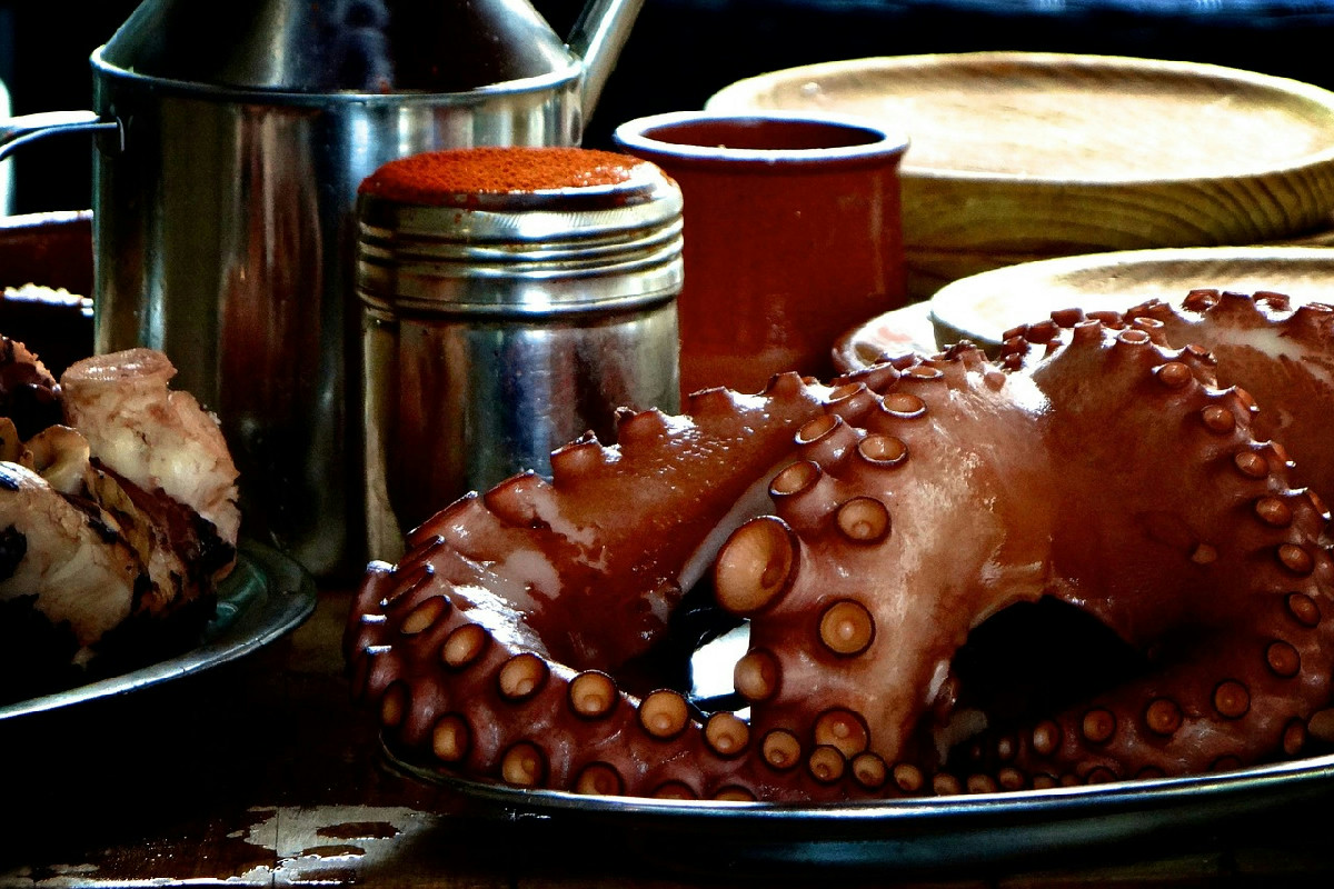 Polpo tenero e gustoso in poco tempo: la guida semplice passo dopo passo adatta a tutti