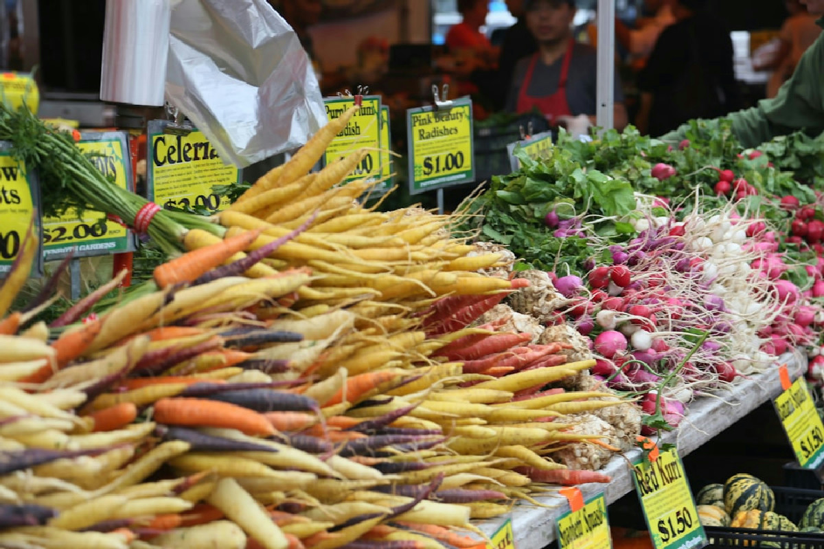 Quando la carota aveva colori sorprendenti come viola, bianca o rossa: un viaggio nella natura antica