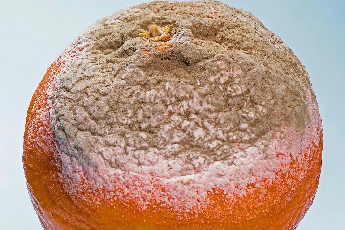 Quando sulla confezione leggi “Da consumarsi entro” scopri perché è importante fare attenzione in cucina