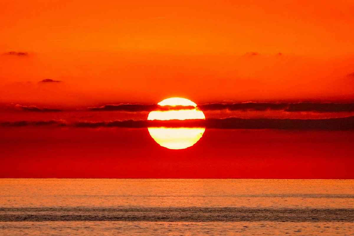 Raccogliere le erbe aromatiche al tramonto: un gesto semplice che accende profumi intensi in cucina