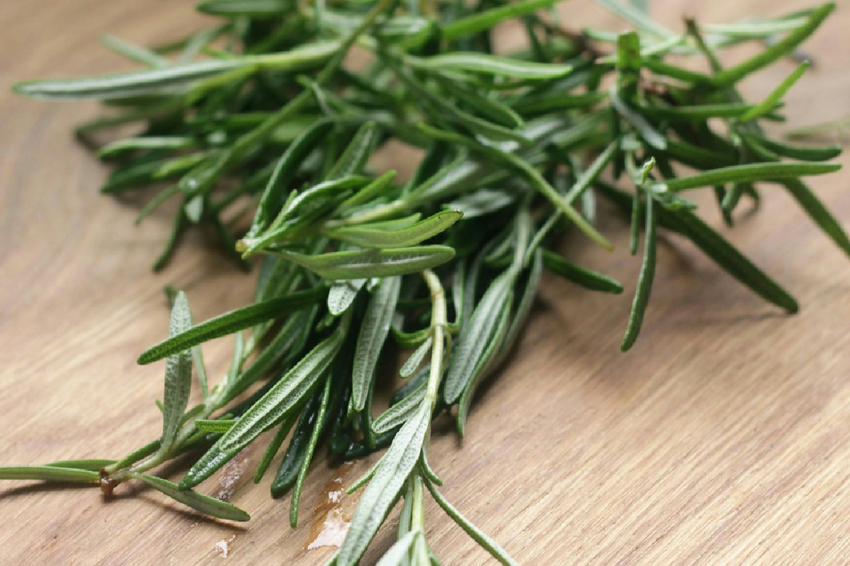 Rosmarino sempre profumato in cucina: ecco come stimolare la pianta in pochi semplici passaggi