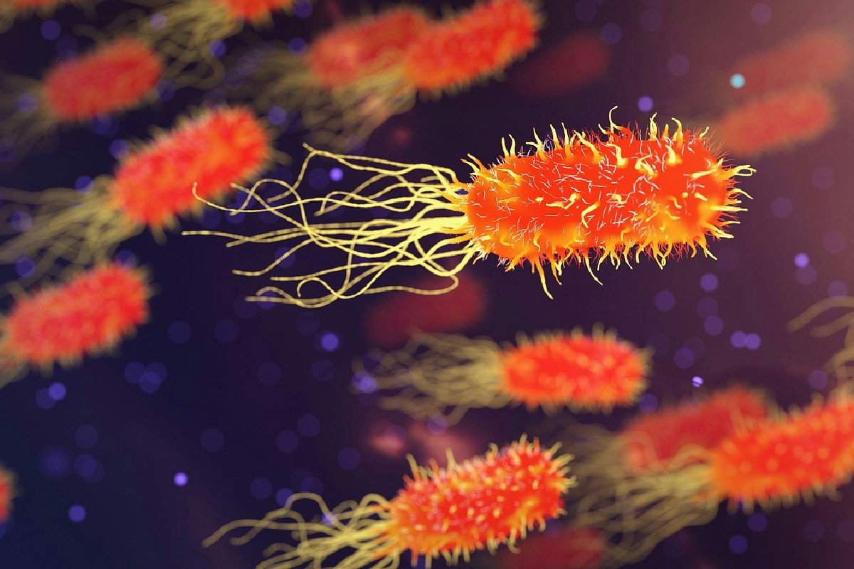 Se il pranzo resta caldo puoi conservarlo in contenitori aperti, scopri il trucco per mantenerlo come appena fatto