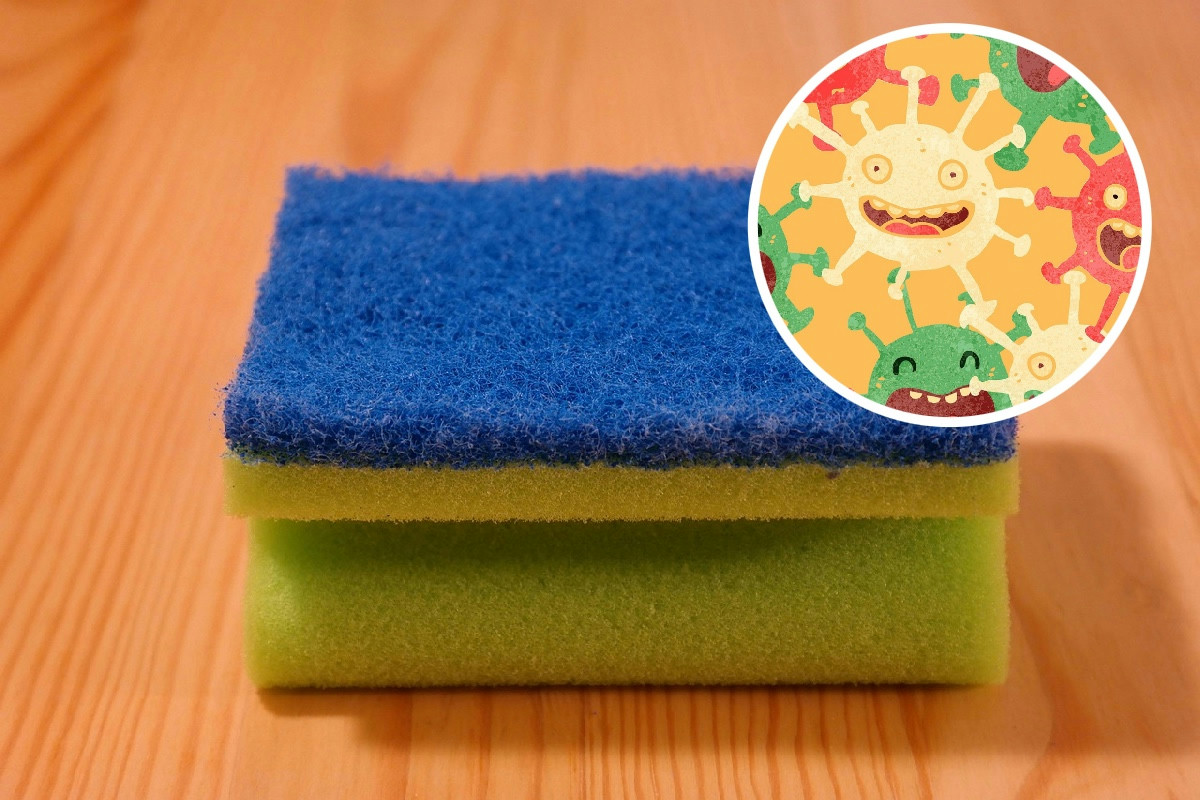 La spugna da cucina ospita più batteri del WC: quando cambiarla per una pulizia sicura